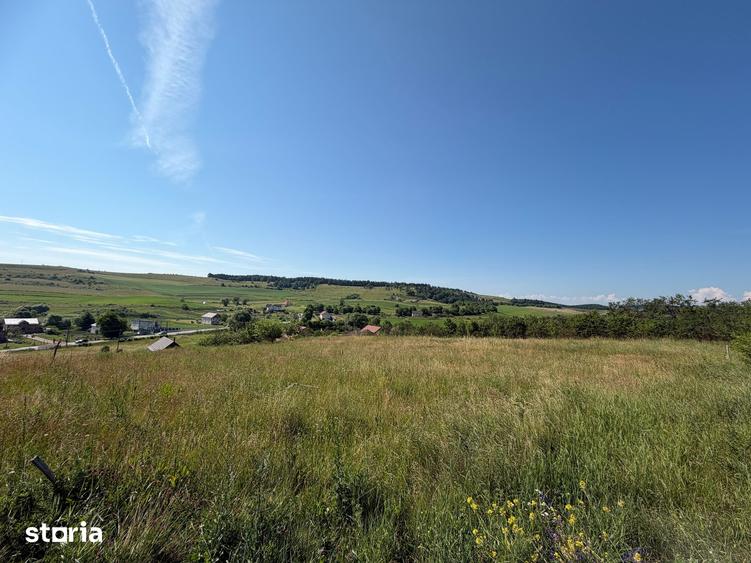 Teren de 3834 mp, în Vultureni