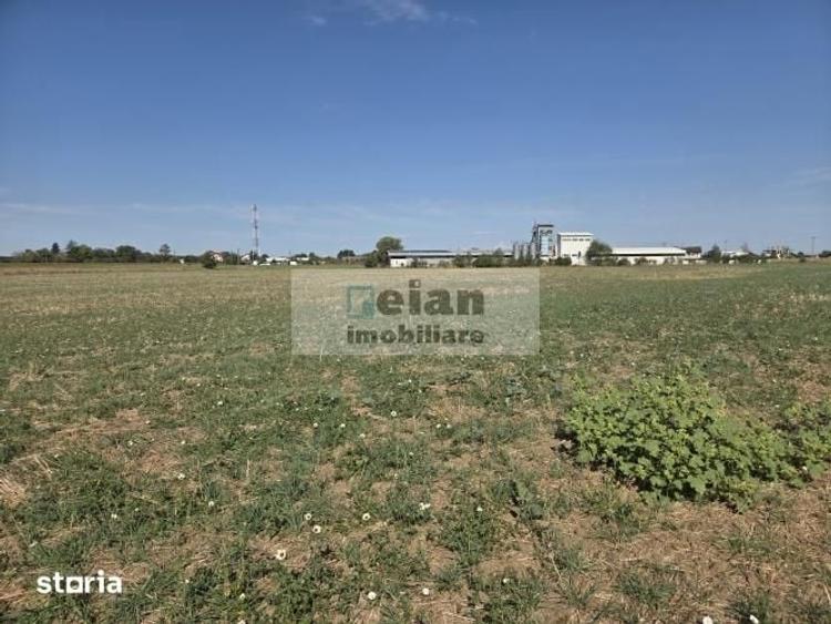 Teren de 6800 mp, în Ciolpani