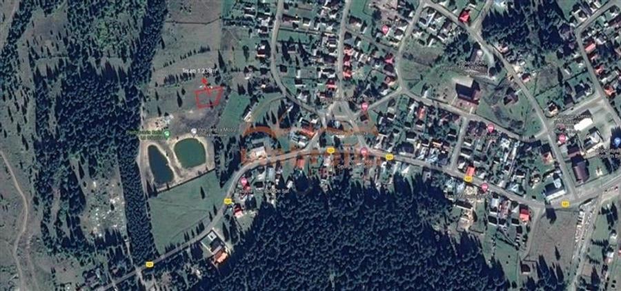 Teren Construcții extravilan de 1238 mp, în Beliș