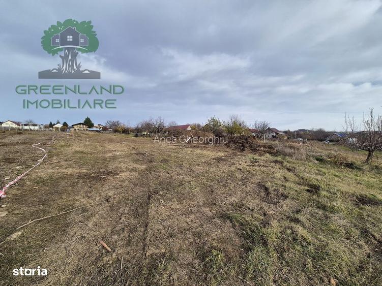 TEREN INTRAVILAN 500mp, Valea Ursului-Miroslava
