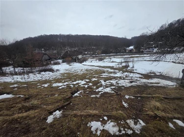 Teren Construcții intravilan de 1812 mp, în Est