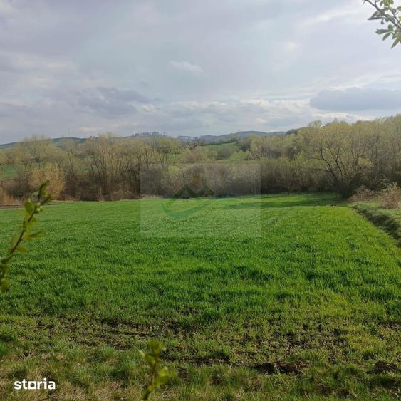Teren de 3200 mp, în Bosanci