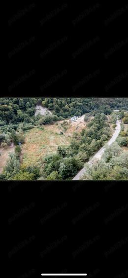 Teren de 5000 mp, în Borlova