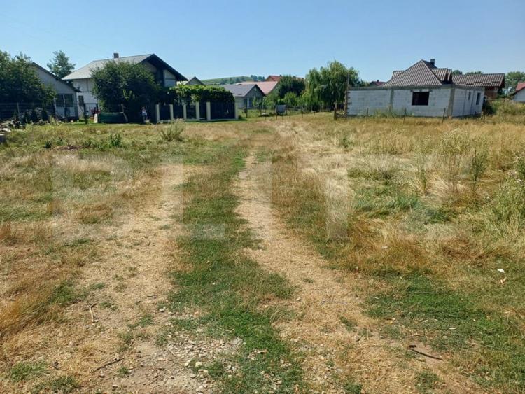 Teren de vanzare intravilan, 8 ari, Costana - 3