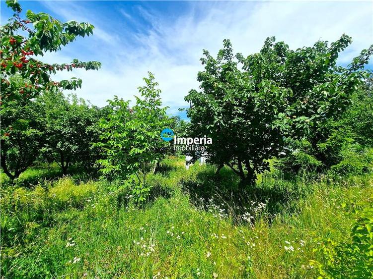 Casă cu 3 camere cu Teren 800 Mp în Curături