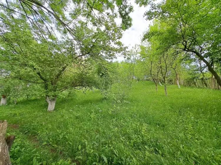 Teren de 1000 mp, în Ghioșești