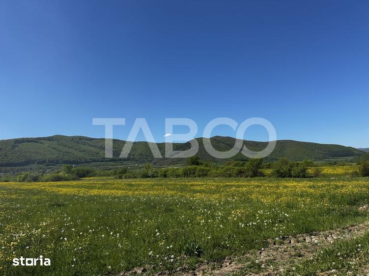 Teren de 1800 mp, în Poplaca