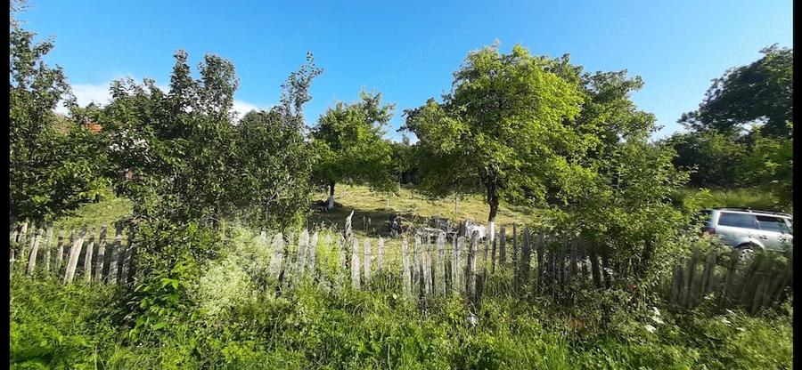 420mp sau 830mp in ?inutul Padurenilor , partea de sud-vest a jud. Hunedoara. - 9