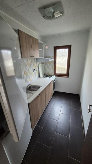 Persoana fizica, inchiriez garsoniera in capat Pacurari - 1