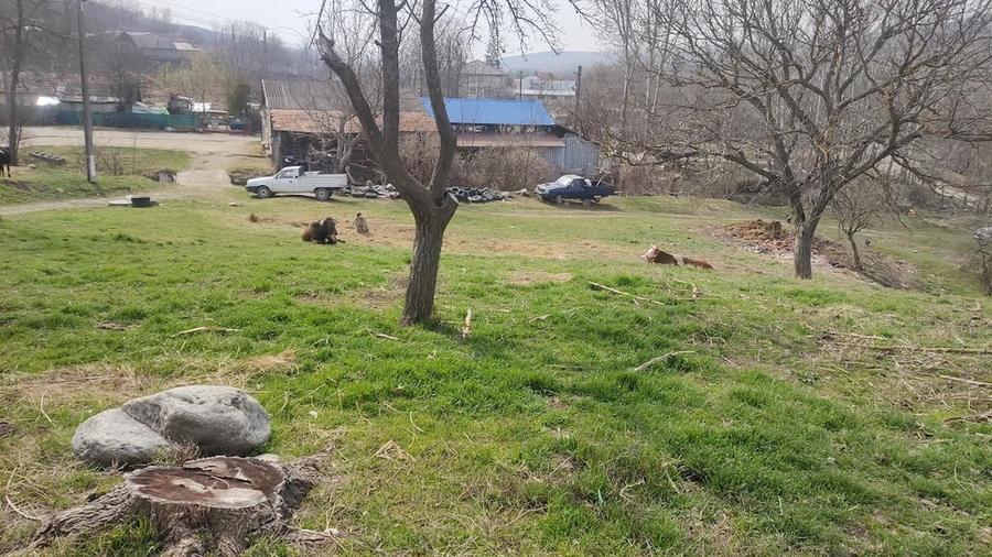 Teren de 2800 mp, în Racovițeni