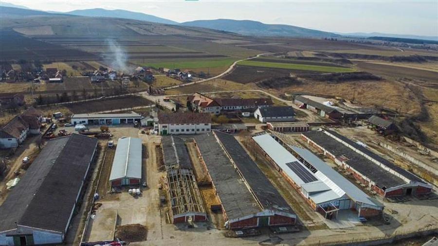 Teren Construcții intravilan de 25391 mp, în Boroșneu Mare