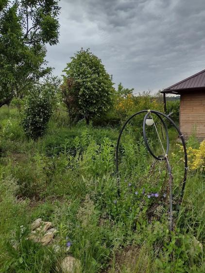 Teren de 4000 mp, în Pietroasa