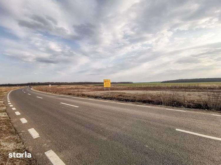 Teren de 13368 mp, în Cernica