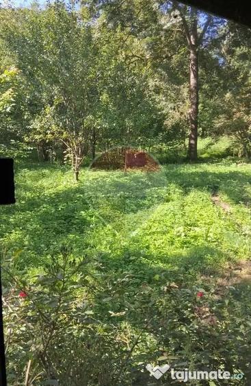 Casa de vanzare in Provita de Sus | Oportunitate de in... - 15