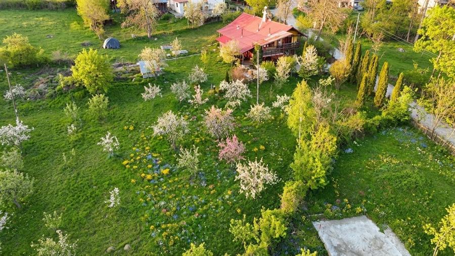 Teren Construcții intravilan de 1626 mp, în Slănic