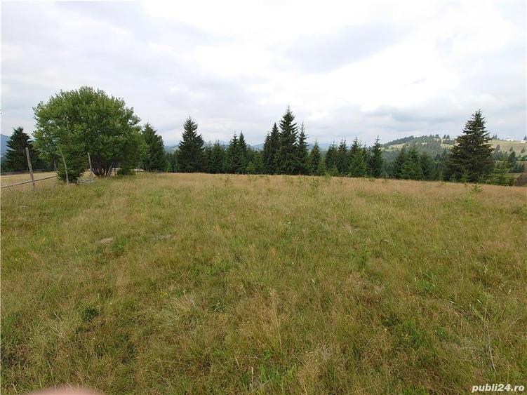 Teren de 7000 mp, în Piatra