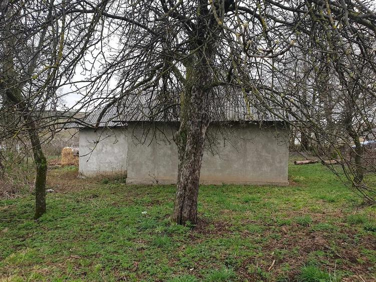 Casă cu 3 camere cu Teren 1200 Mp în Grumăzești