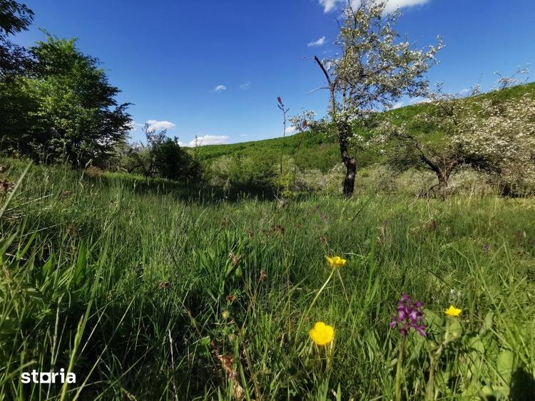 Teren de 680 mp, în Budeasa