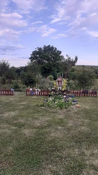 Casă cu Teren 2600 Mp în Feiurdeni