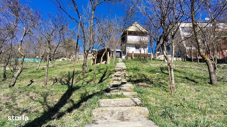 Spațiu comercial, în Grigorescu