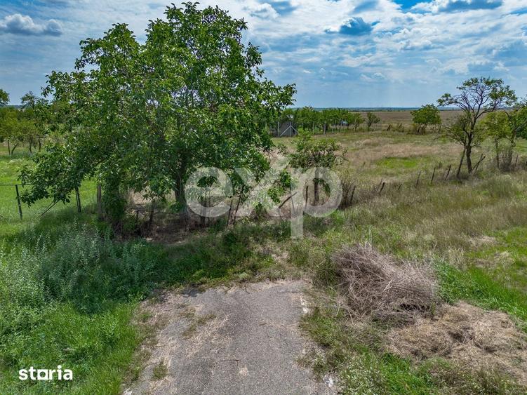 Teren de 1440 mp, în Murani