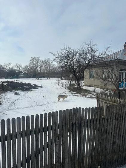 Casă cu 4 camere cu Teren 2000 Mp în Ciorăști