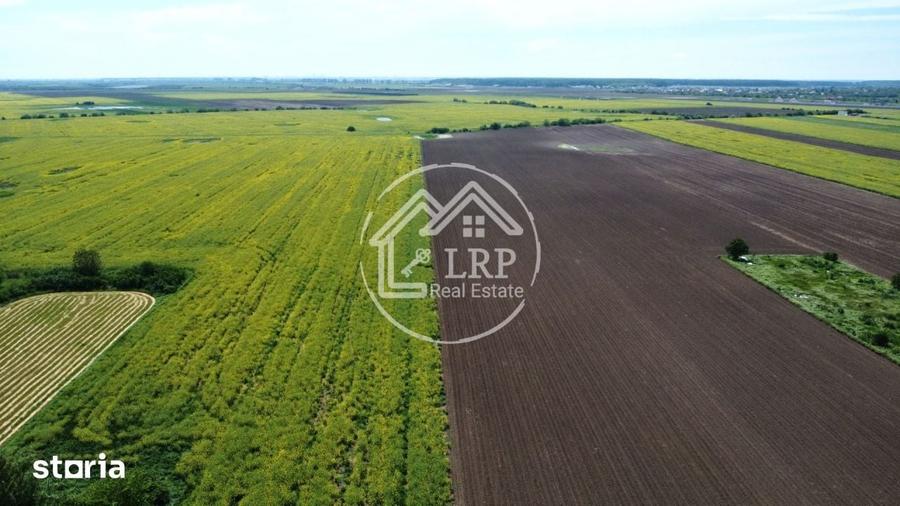 Teren de 15500 mp, în Dascălu