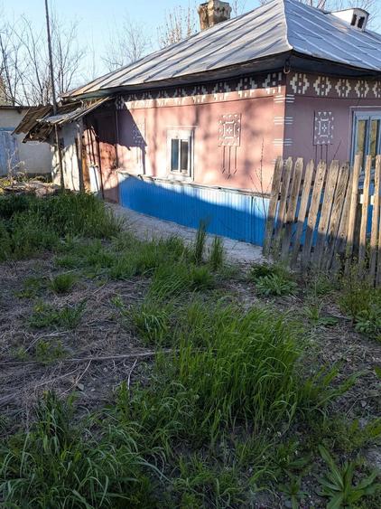 Casă cu Teren 2900 Mp în Vlădeni