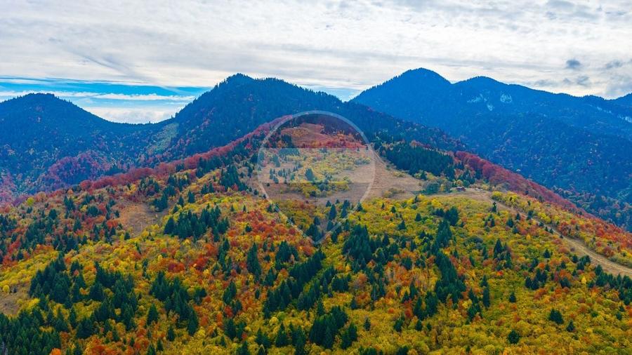 Teren Construcții intravilan de 16000 mp, în Baciu