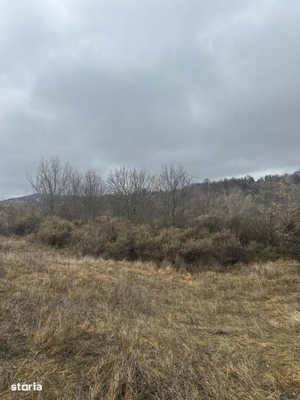 Teren de 2050 mp, în Central