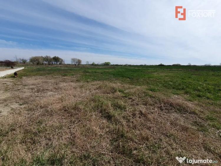 Teren de 504 mp, în Utvin
