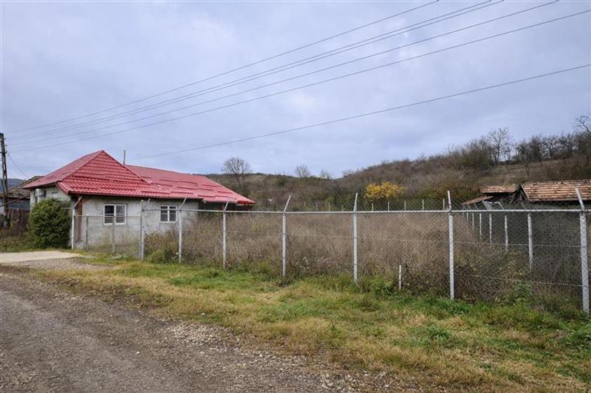 Casă individuală cu 3 camere cu Teren 2700 Mp în Sânmărghita