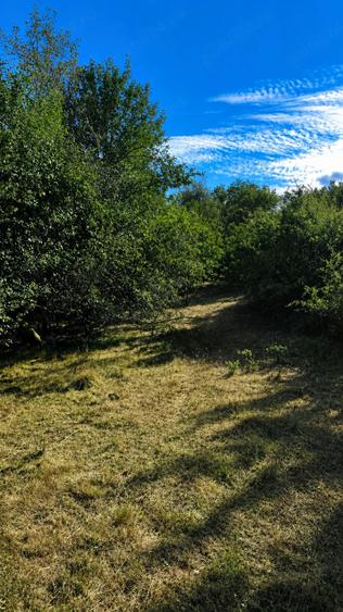 Teren de 2300 mp, în Cuzăplac