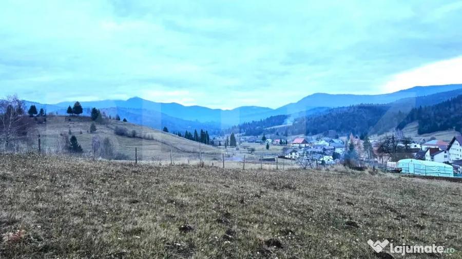 Teren de 2500 mp, în Colibița