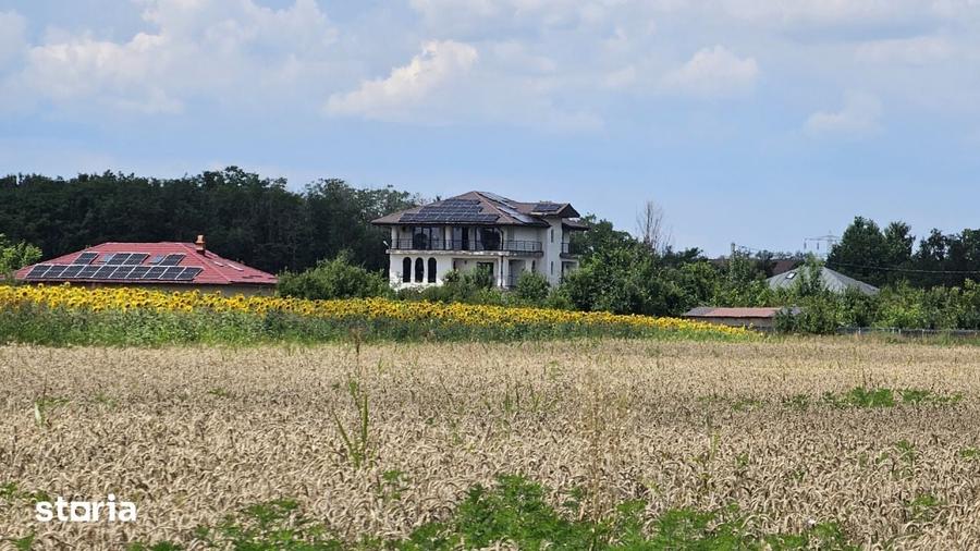 Teren Gulia Tartasesti, padurea Raioasa, investitie premium - 11