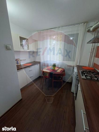 Apartament cu 3 camere semidecomandat în Sălăjan