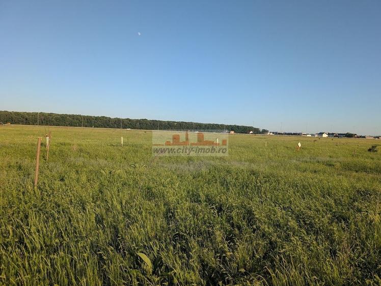 Teren Construcții intravilan de 1000 mp, în Nord-Est