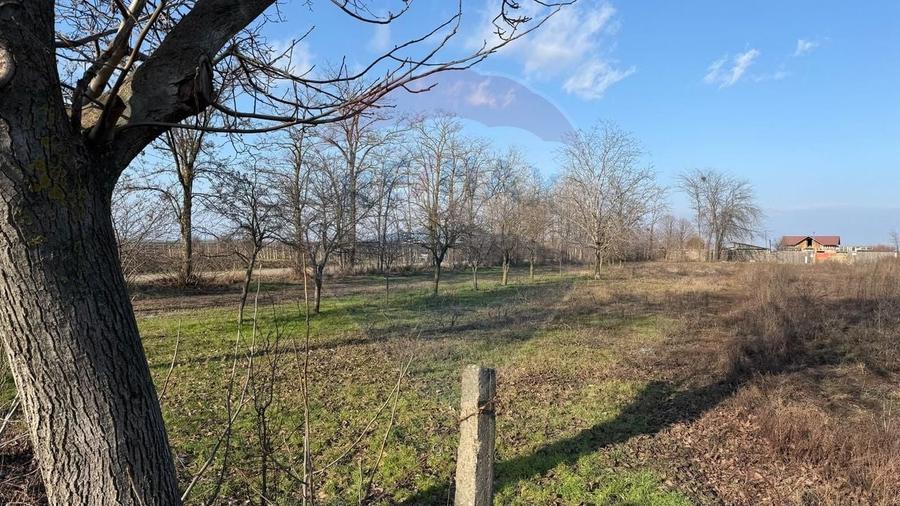 Teren Construcții intravilan de 2300 mp, în Petrești