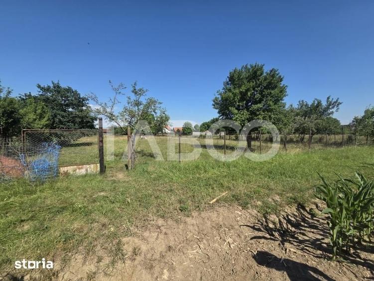 Teren intravilan 2000 mp si extravilan 1150 mp de vanzare in Vad - 2