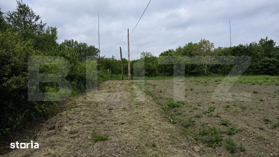 Teren extravilan, 5000 mp, zona Lucian Blaga - 4