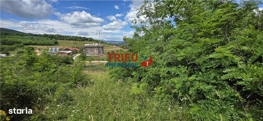 Spațiu comercial, în Central