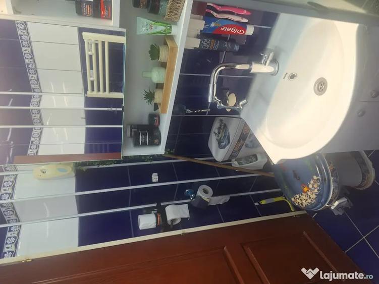 Apartament cu 2 camere decomandat în Turnișor