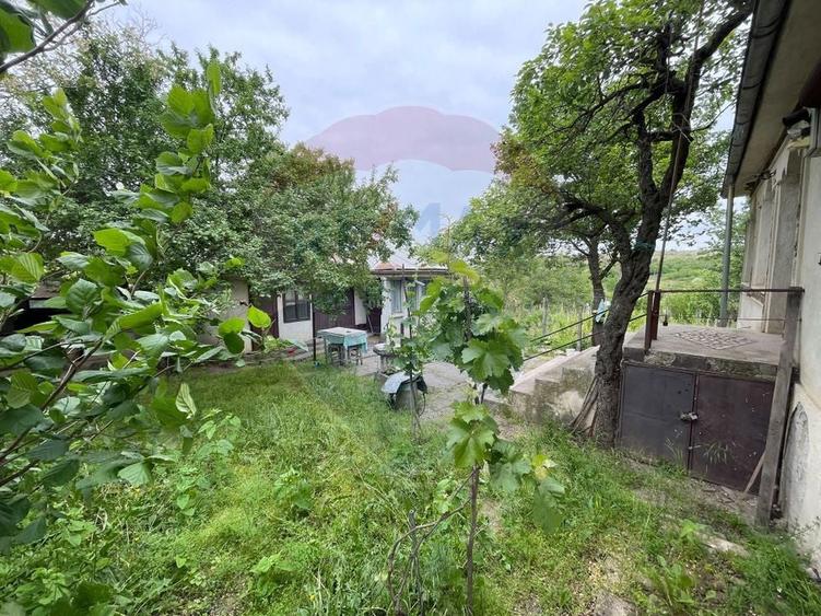 Casă individuală cu 3 camere cu Teren 1692 Mp în Oancea