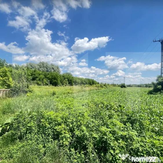 Teren 9.300 mp pentru investi?ie, Dorohoi, langa viitoare - 2