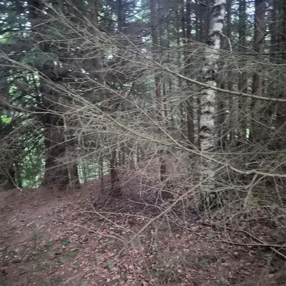 Teren de 300 mp, în Brădățel