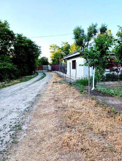 Teren intravilan de 620 mp, în Micro 14