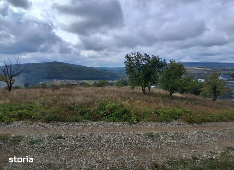 Teren de 463 mp, în Tomești