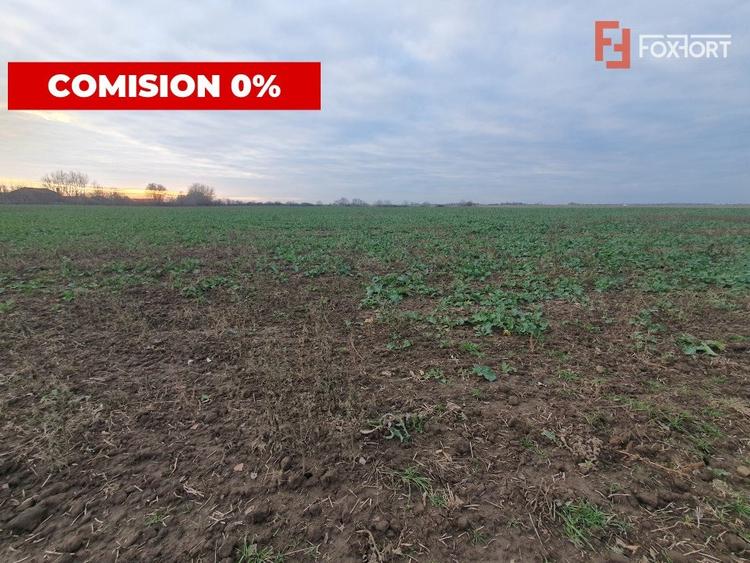Teren agricol extravilan de 213257 mp, în Sud