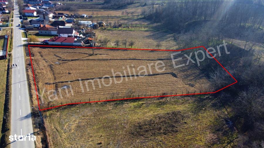 Teren de 5600 mp, în Băiculești