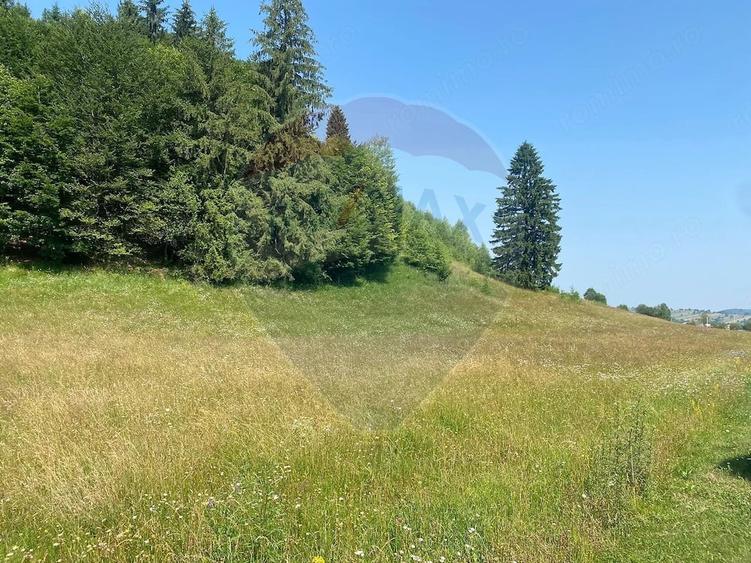 Teren Extravilan 4,306 mp in Vama Buzaului la Strada Principala - 4